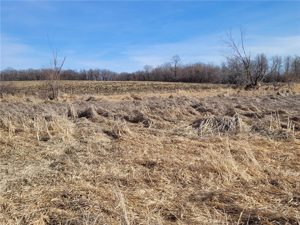 XXXX County Road 7 NW Maple Lake MN 55358 7006304 image12