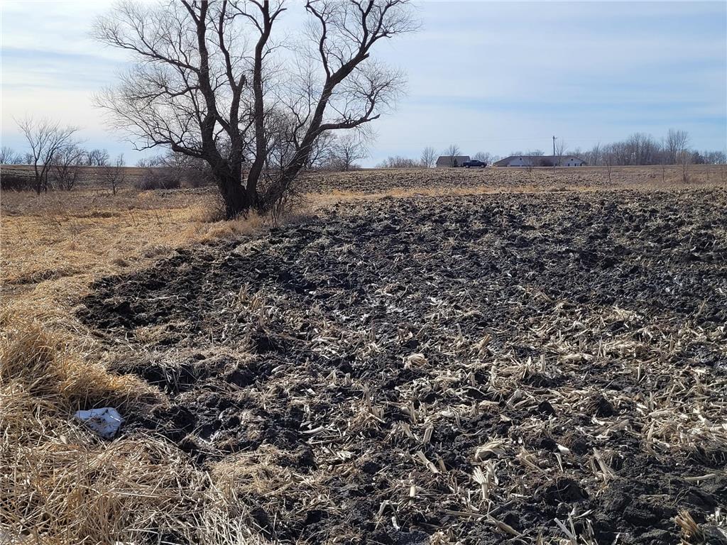 XXXX County Road 7 NW Maple Lake MN 55358 7006304 image13