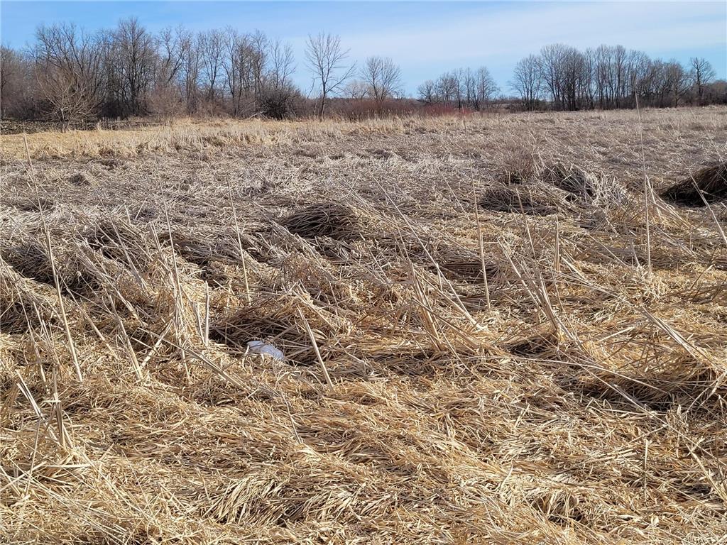 XXXX County Road 7 NW Maple Lake MN 55358 7006304 image15