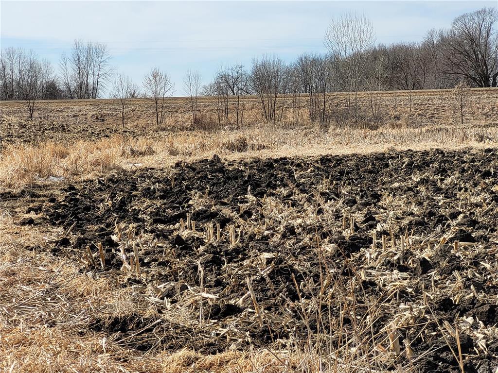 XXXX County Road 7 NW Maple Lake MN 55358 7006304 image19