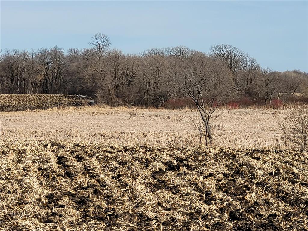 XXXX County Road 7 NW Maple Lake MN 55358 7006304 image4