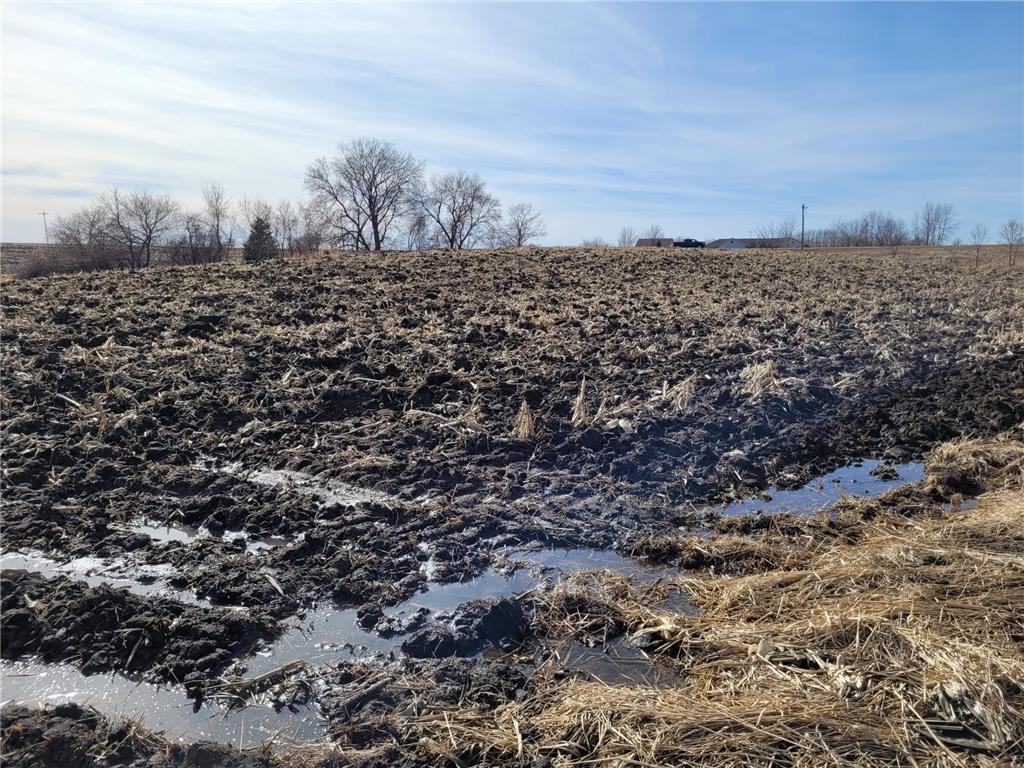 XXXX County Road 7 NW Maple Lake MN 55358 7006304 image6