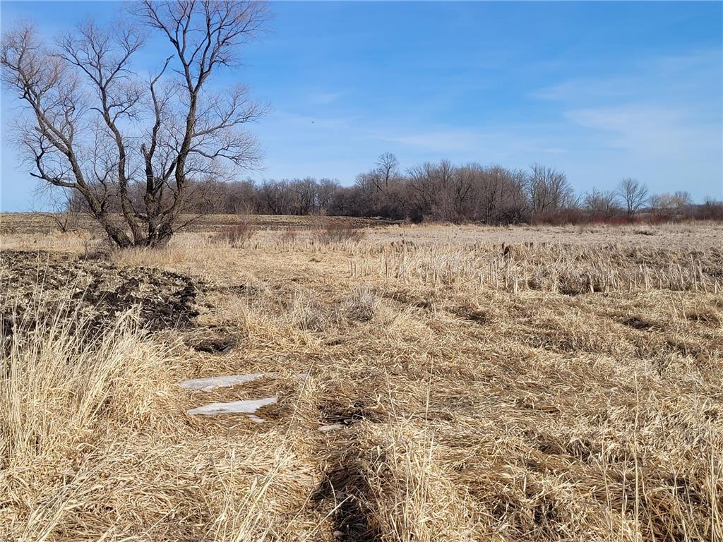 XXXX County Road 7 NW Maple Lake MN 55358 7006304 image7