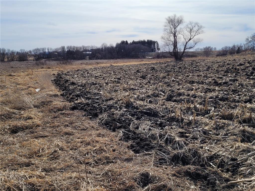 XXXX County Road 7 NW Maple Lake MN 55358 7006304 image9