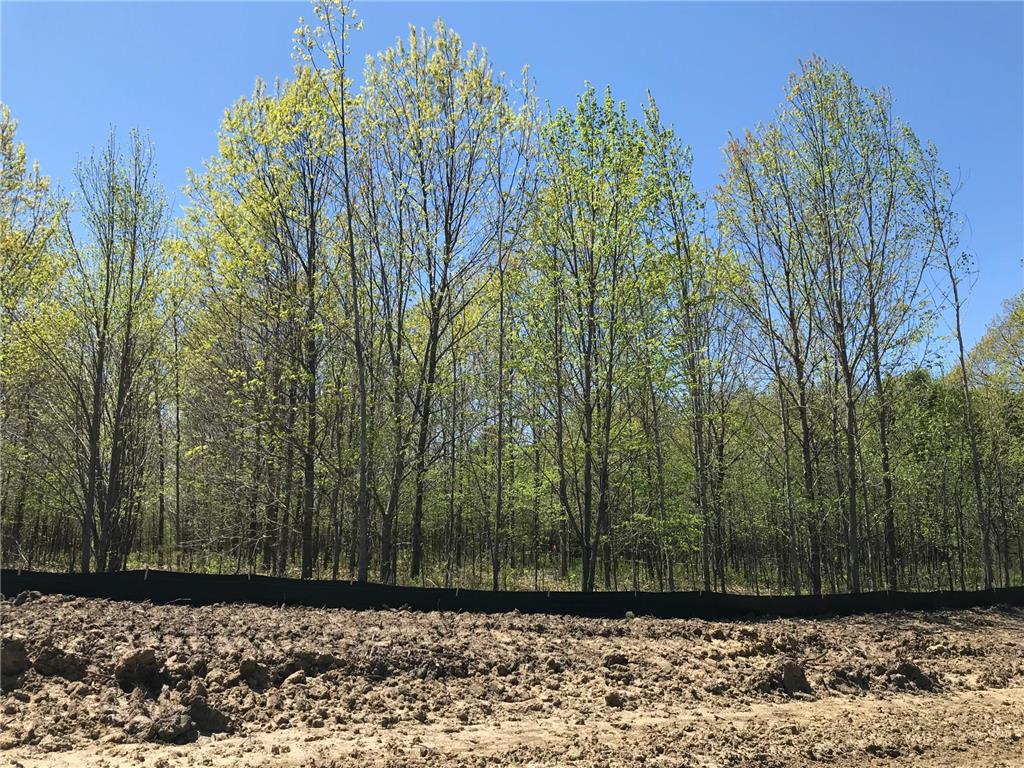 L1 B2 DOROTHY WAY Spring Lake Twp MN 55372 6198836 image1