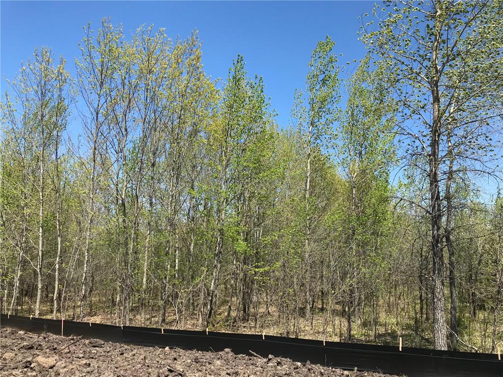 XXXX DOROTHY WAY, Spring Lake Twp, MN, 55372 MLS 7272263 Edina Realty