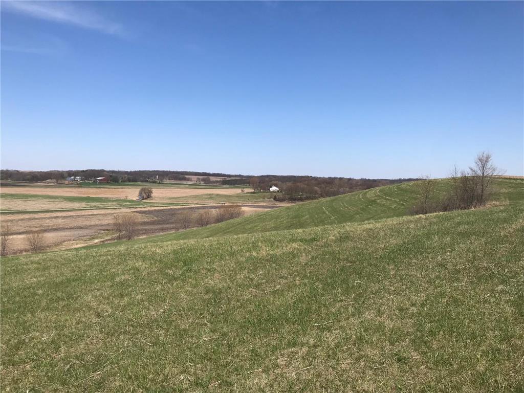XXXX Dalton Ave Webster Twp MN 55057 6634306 image1