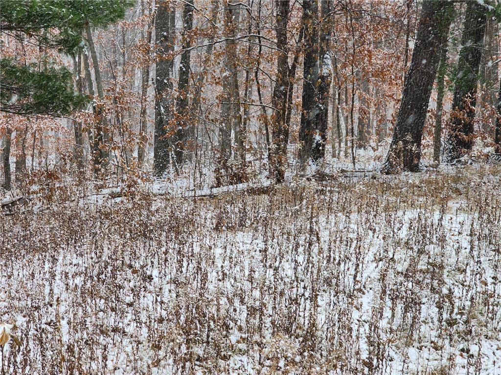 XXXX Deer Drive Harris MN 55032 6309039 image1