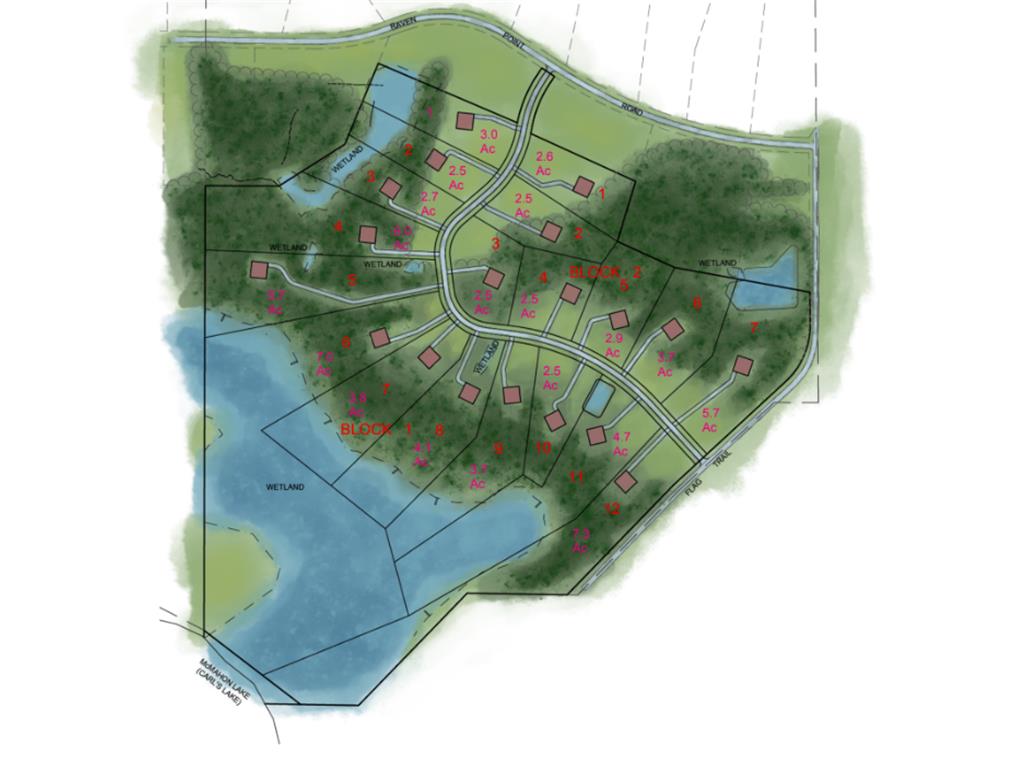 XXXX Dorothy Way Spring Lake Twp MN 55372 6430602 image1