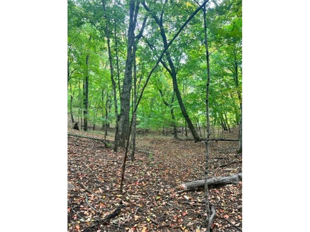 XXXX E Lake Lizzie Rd Lida Twp MN 56572 - Franklin Lake 6735033 image2