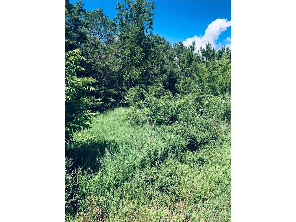 XXXX E Minnesota Avenue Glenwood MN 56334 6318150 image1