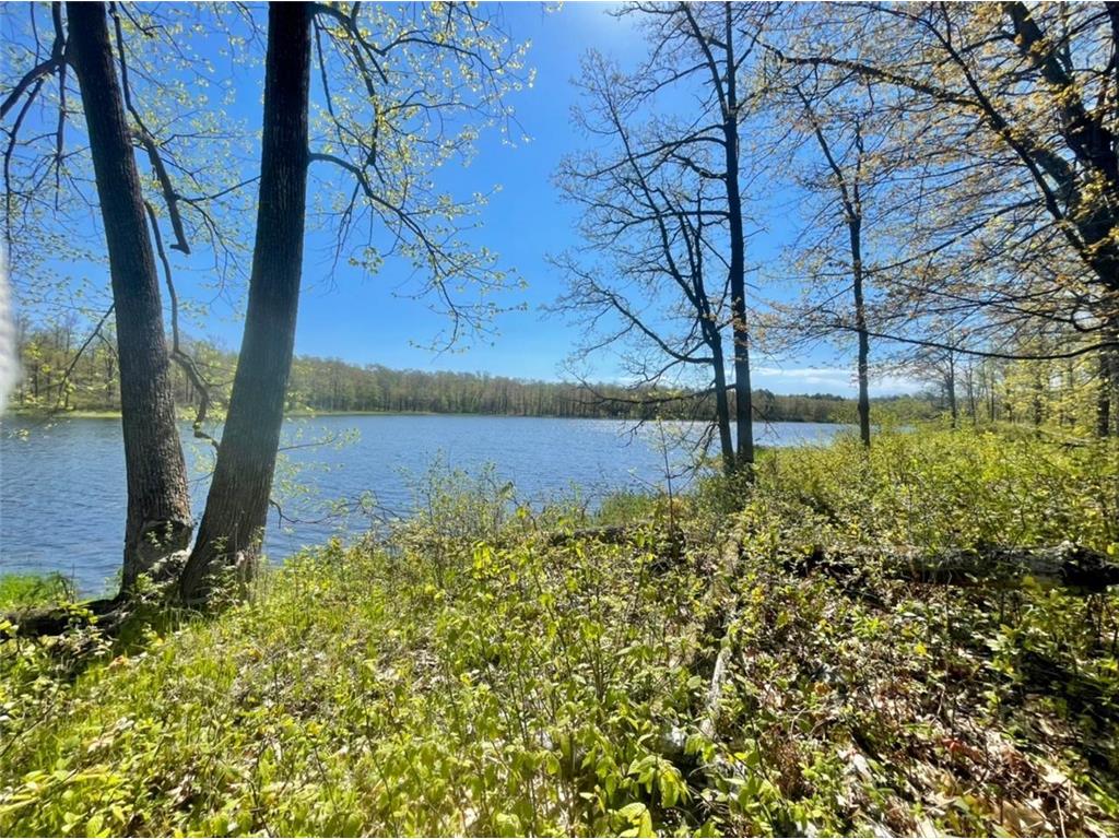 XXXX Eagle Claw Lane NE, Boy River, MN, 56672 MLS 6238130 Edina Realty