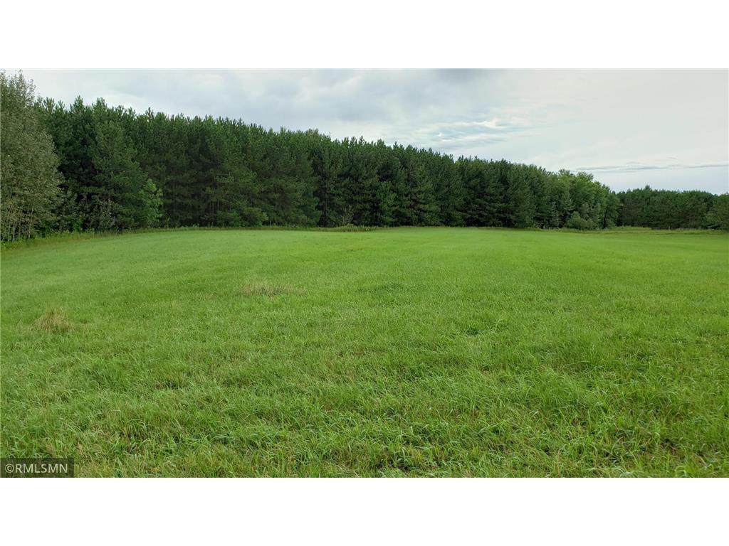 XXXX Easy Street Deer River MN 55736 6798760 image1