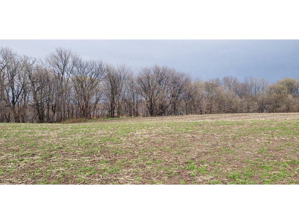 XXXX Echo Avenue Lonsdale MN 55046 - Circle 6521066 image1