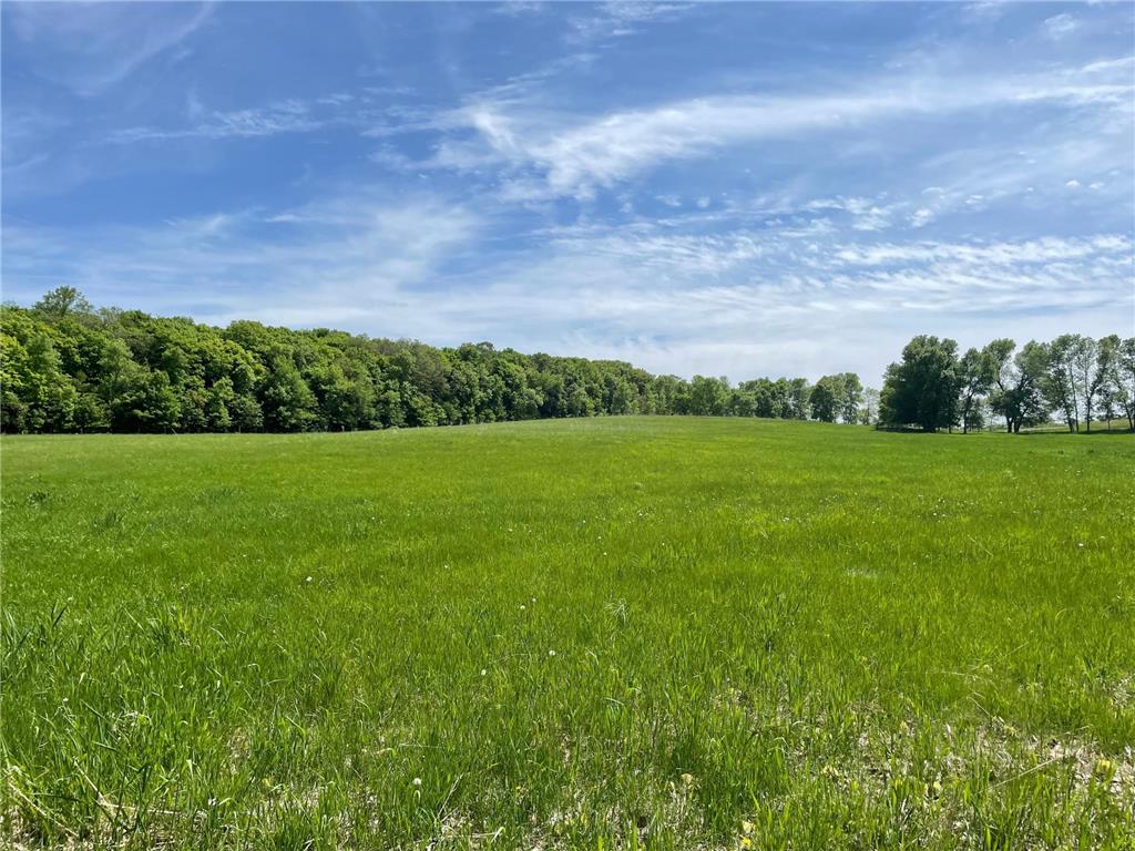 XXXX Edgewater Lane Little Sauk Twp MN 56347 - Maple Lake 6376488 image1