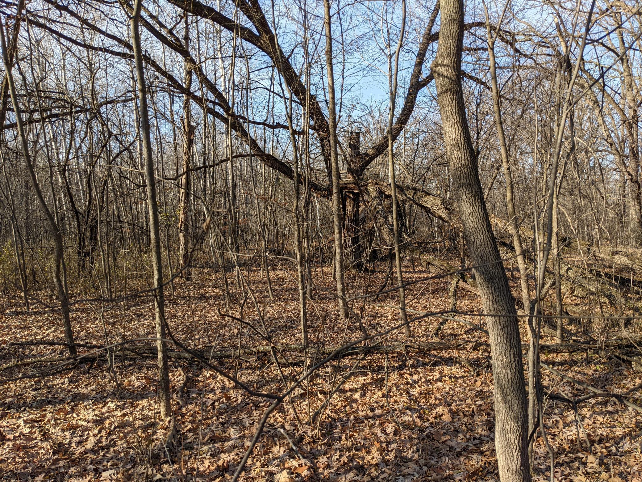 XXXX Edgewater Road Pine City MN 55063 - Cross 6130821 image1