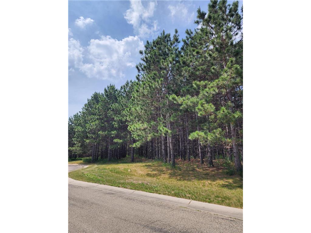 XXXX Emerald Court, Carlos, MN 56319 MLS 6391942 Edina Realty