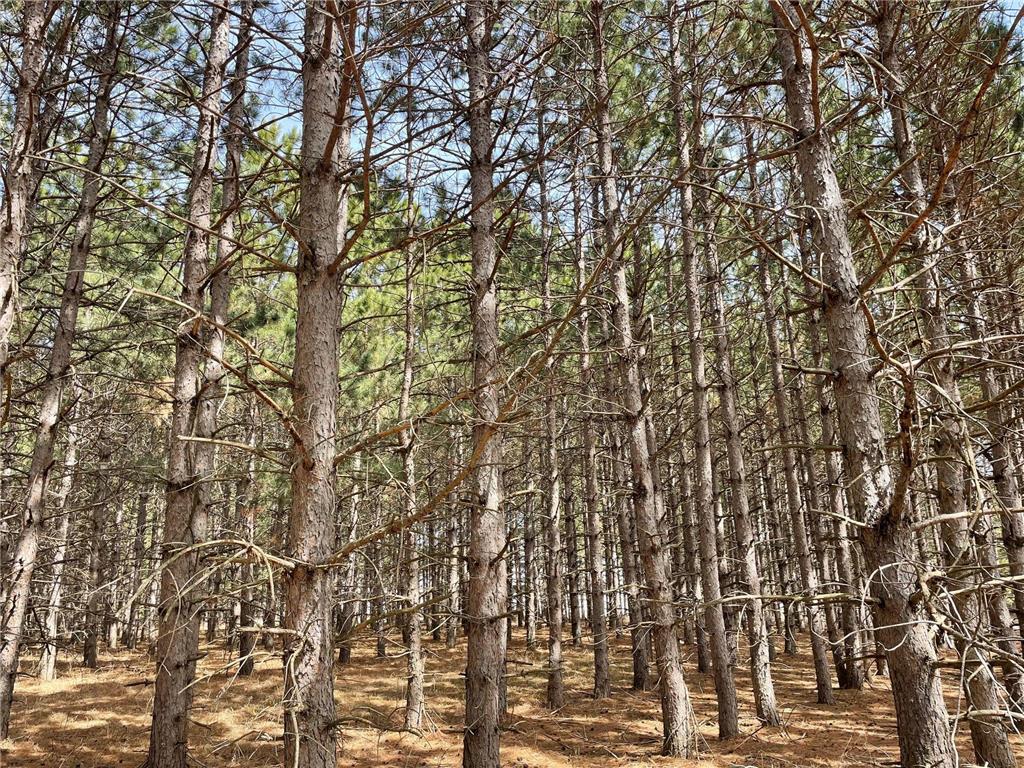 XXXX Emerald Court NE Carlos MN 56319 6704377 image1