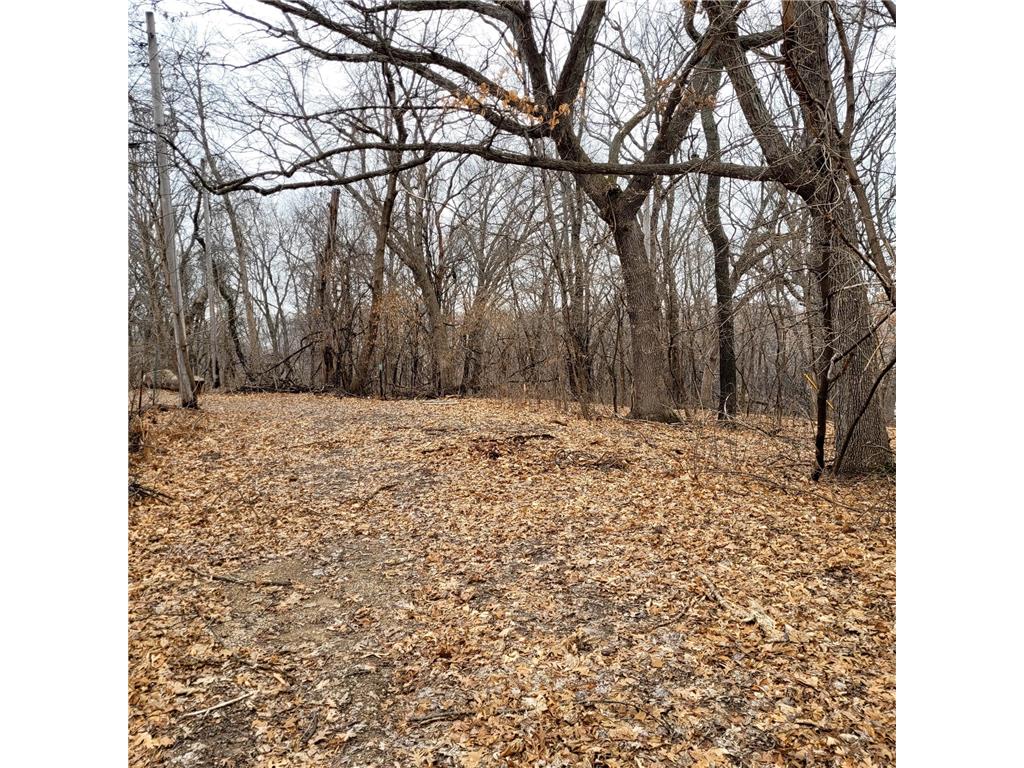 XXXX Eriks Boulevard Eagan MN 55122 6694421 image1