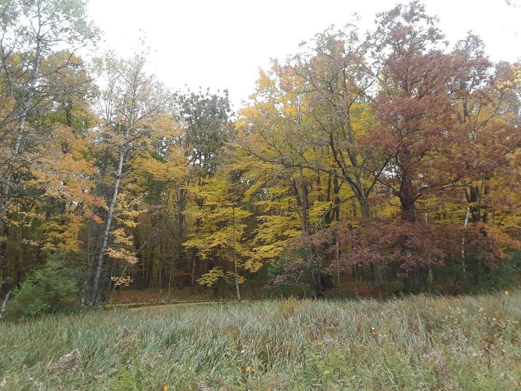 XXXX Fuller Avenue Lakeland Twp WI 54829 6335414 image1