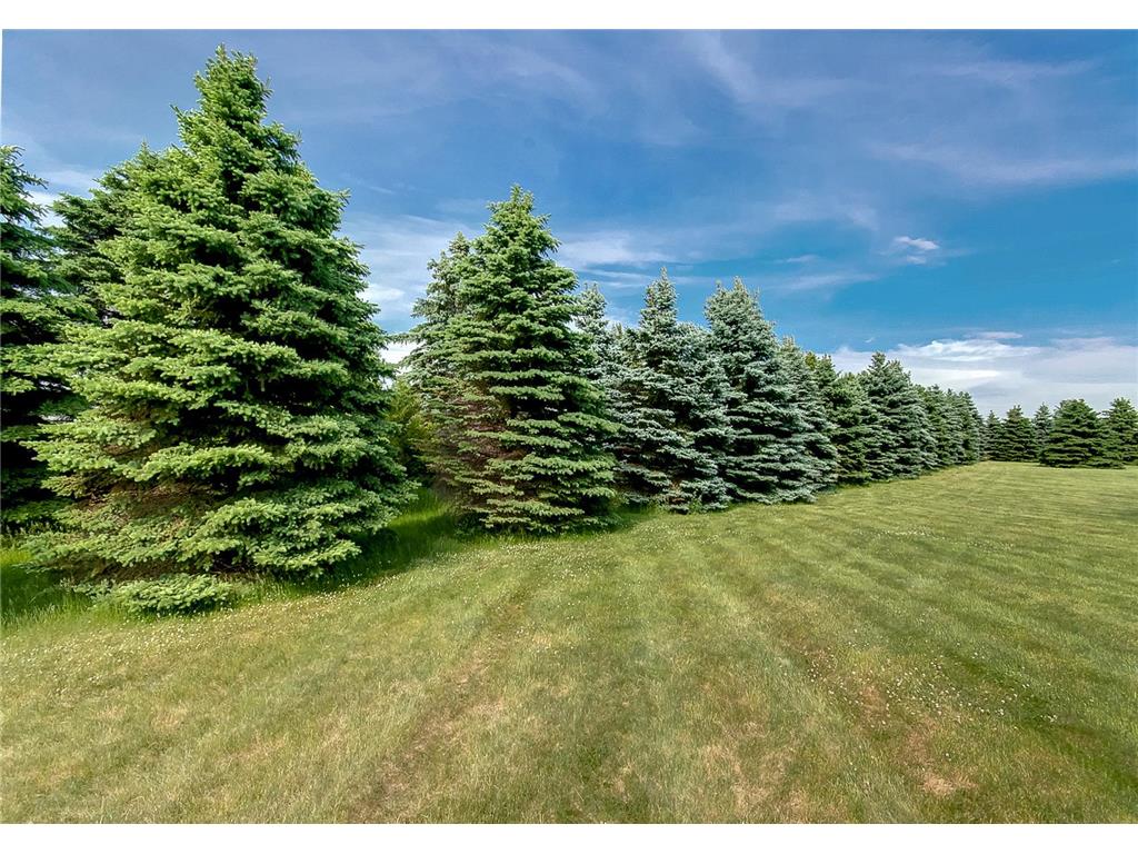 XXXX Goodwin Avenue Hastings MN 55033 7083826 image85