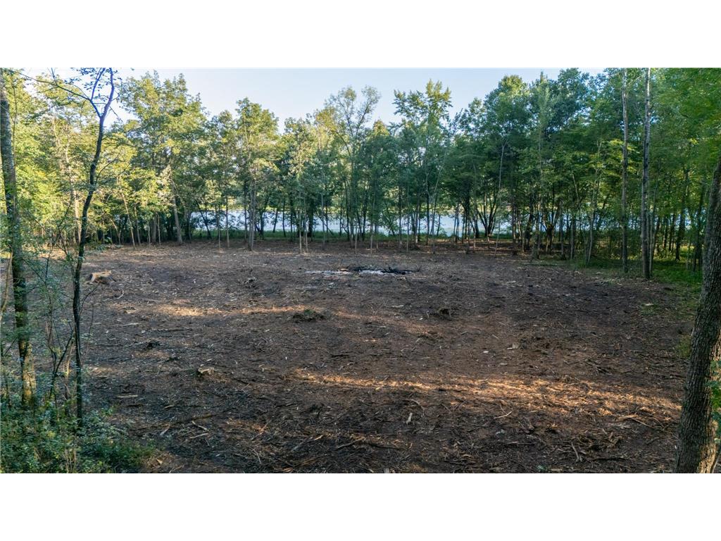 XXXX Greenwood Trail Pine City MN 55063 - Snake River 7017483 image1