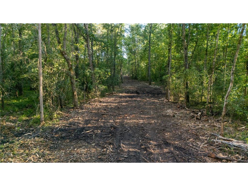 XXXX Greenwood Trail Pine City MN 55063 - Snake River 7017483 image3