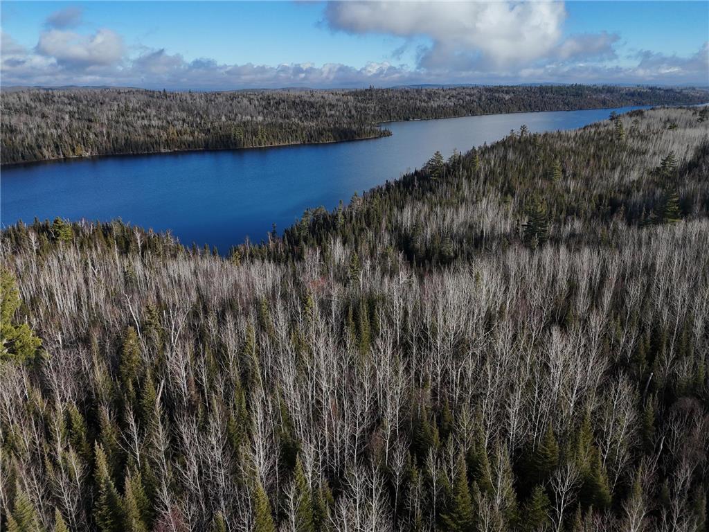 XXXX Gunflint Trail Grand Marais MN 55604 - Loon 6631595 image1