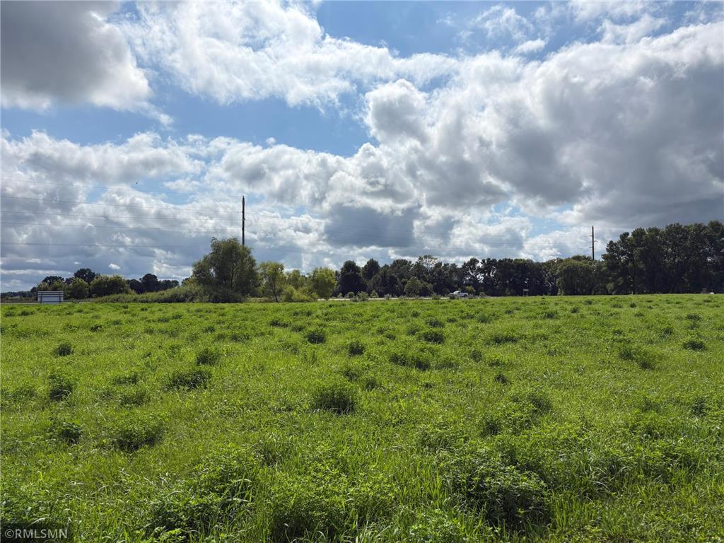 XXXX Highway 55 W Maple Lake MN 55358 6776905 image5