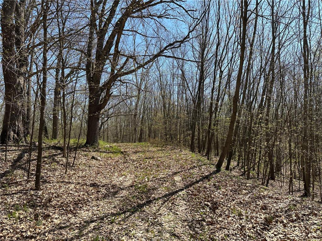 XXXX Holly Trail Arthur Twp MN 56358 6717203 image1