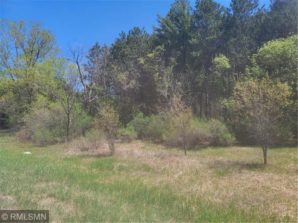 XXXX Hwy 35, Frederic, WI 54837 MLS 6198582 Edina Realty