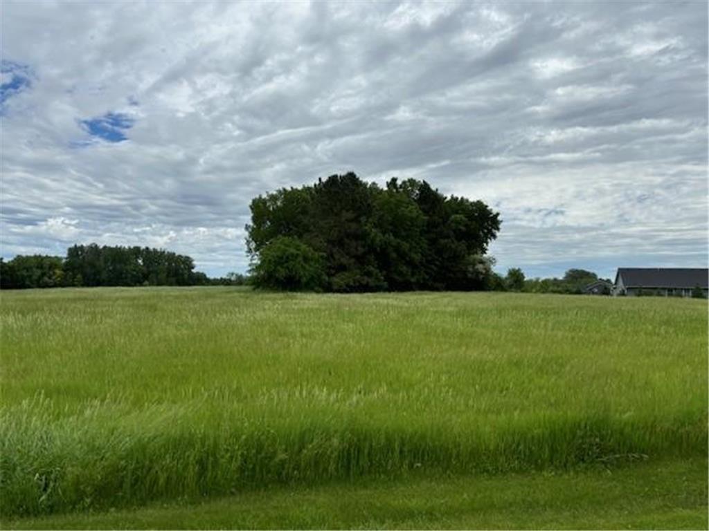 XXXX Imhoff Avenue SW Howard Lake MN 55349 6551109 image1