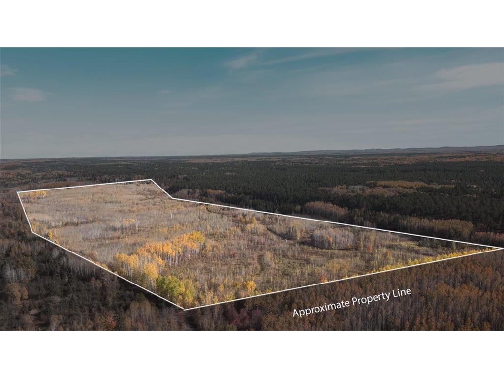 XXXX Jack Pine Lane Angora MN 55703 6614164 image1