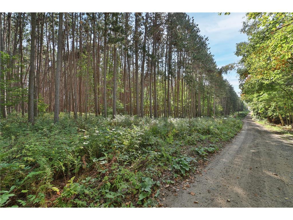 XXXX Ladyslipper Lane Deerwood MN 56444 6436637 image1