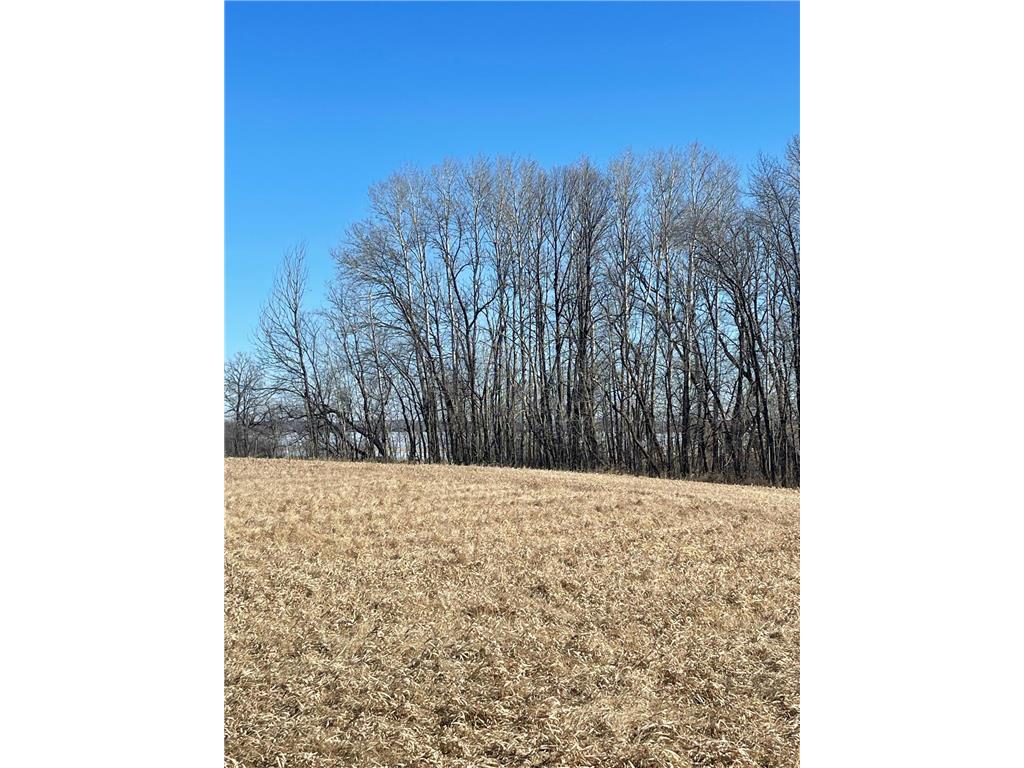 XXXX Lake Ida Way NW Alexandria MN 56308 6681636 image1