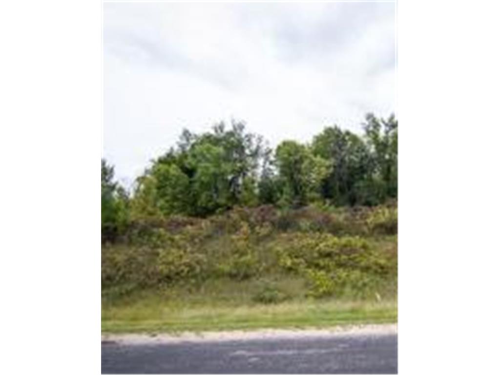 XXXX Lake Ridge Drive Spring Lake Twp MN 55372 - Fish 7080415 image1