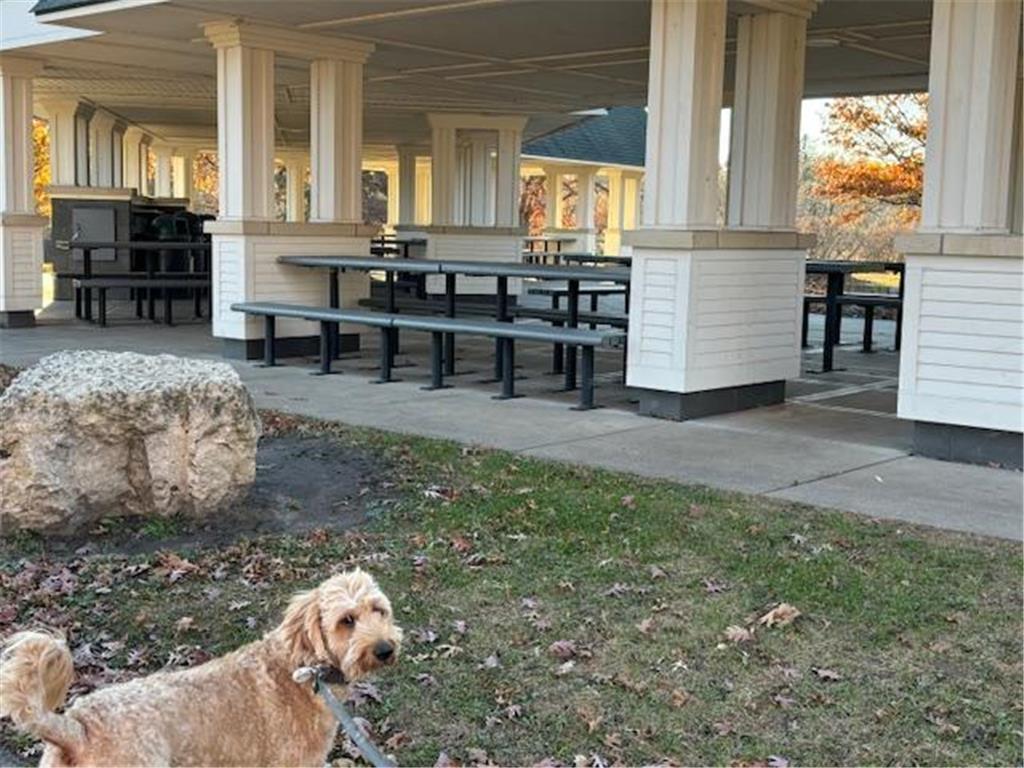 XXXX Larpenteur Avenue E Maplewood MN 55117 6624218 image15