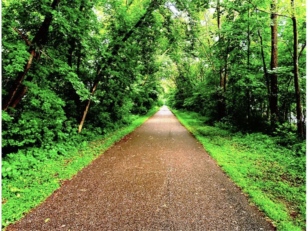 XXXX Larpenteur Avenue E Maplewood MN 55117 6624218 image33