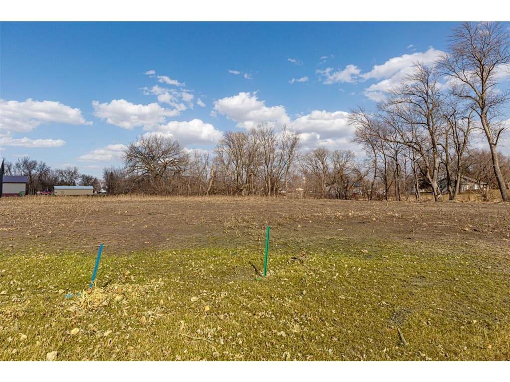 XXXX Lewis Lane, Elysian, MN, 56028 MLS 6494539 Edina Realty