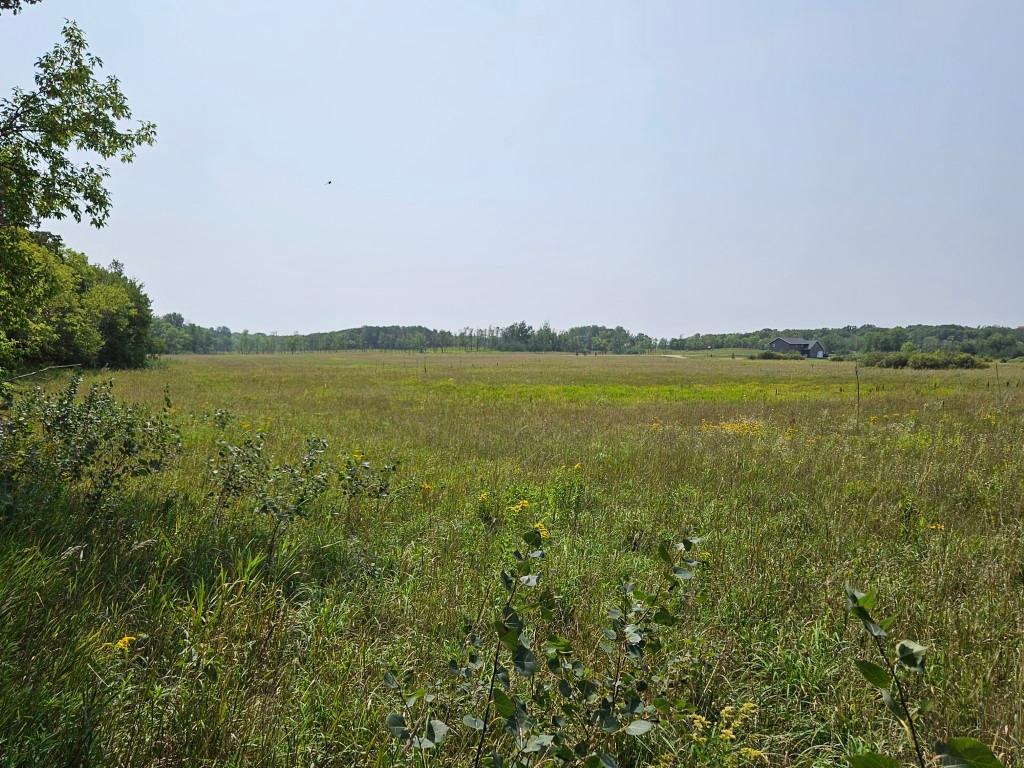 XXXX Lot 1 Co Rd 38 NE Carlos MN 56319 6605434 image1