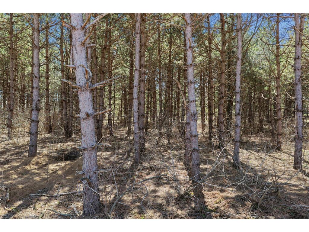 XXXX (Lot 21) 119th Avenue Warren Twp WI 54023 7050196 image3