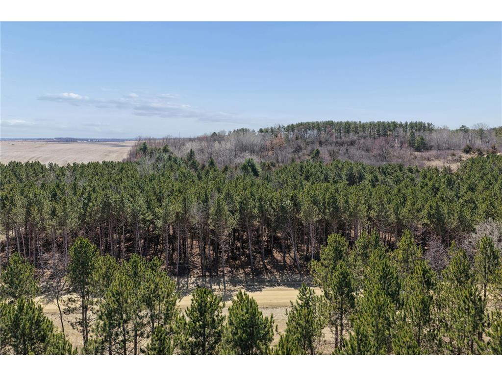 XXXX (Lot 21) 119th Avenue Warren Twp WI 54023 7050196 image4