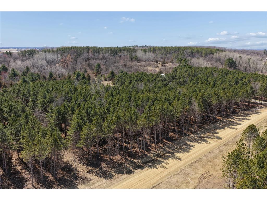 XXXX (Lot 21) 119th Avenue Warren Twp WI 54023 7050196 image6