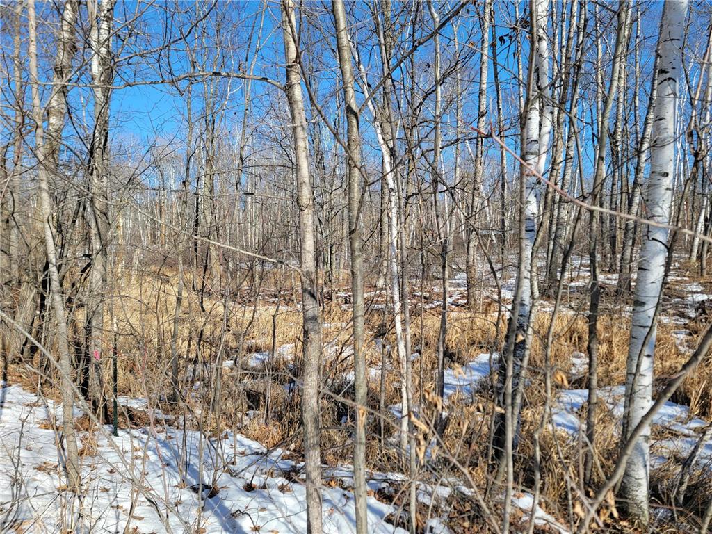 XXXX Meadow Lake Road SW Meadowbrook Twp MN 56466 6678281 image13