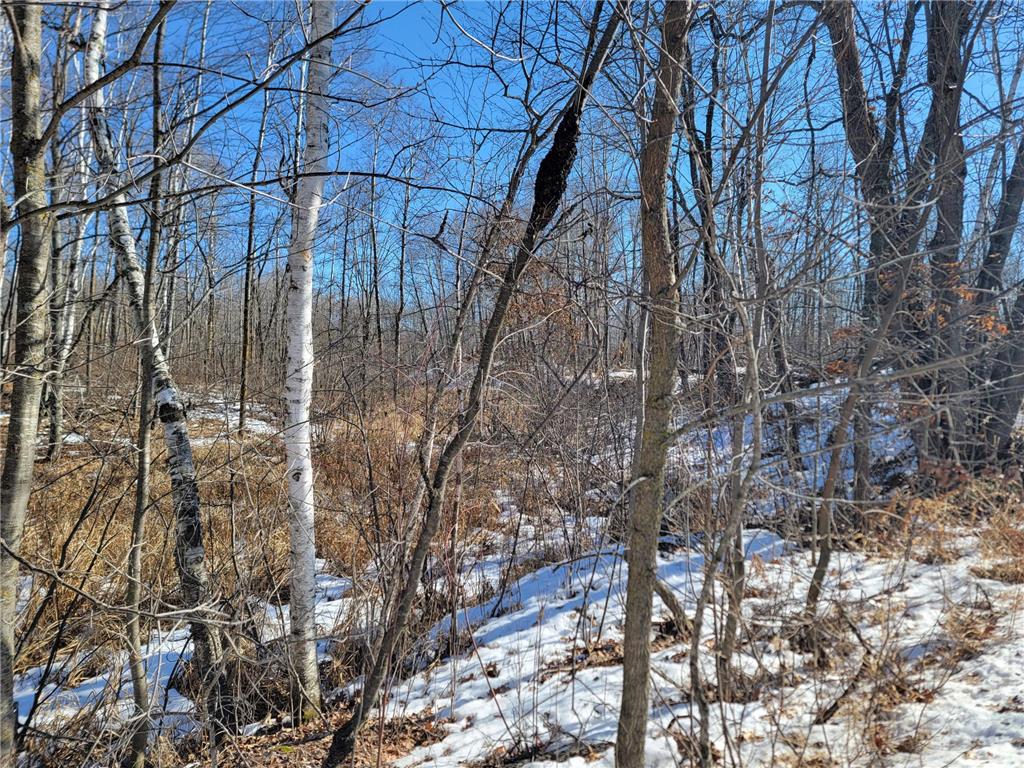 XXXX Meadow Lake Road SW Meadowbrook Twp MN 56466 6678281 image14