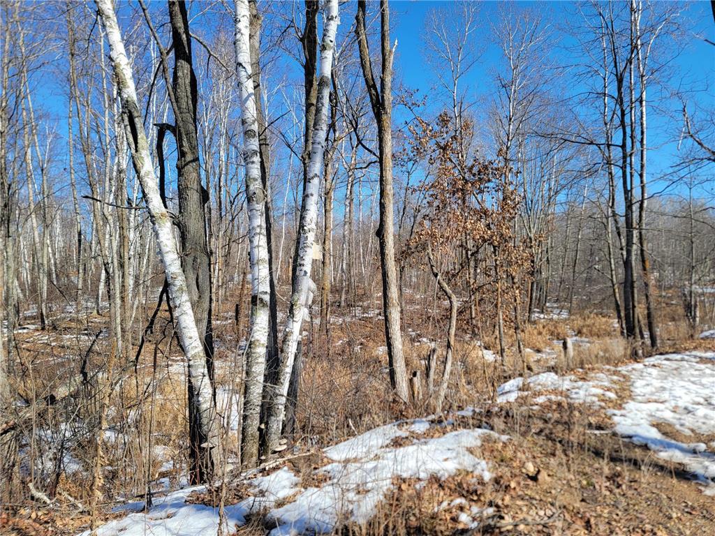 XXXX Meadow Lake Road SW Meadowbrook Twp MN 56466 6678281 image2