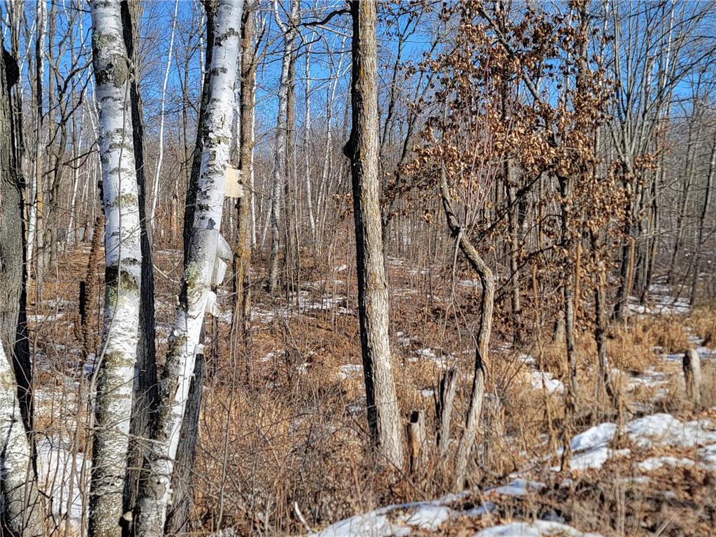 XXXX Meadow Lake Road SW Meadowbrook Twp MN 56466 6678281 image3