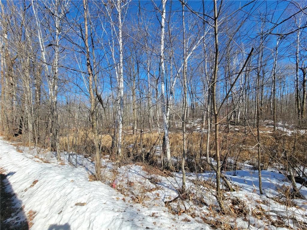 XXXX Meadow Lake Road SW Meadowbrook Twp MN 56466 6678281 image4