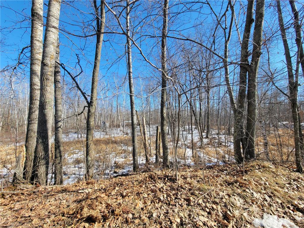 XXXX Meadow Lake Road SW Meadowbrook Twp MN 56466 6678281 image5