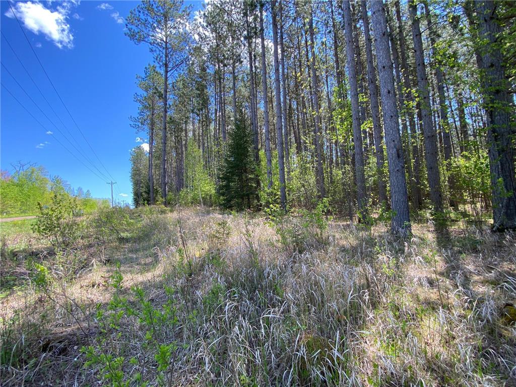 XXXX Minkkinen Rd Kalevala Twp MN 55757 - Kettle River - West Branch 6723882 image1